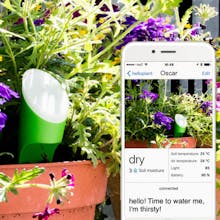 helloplant gallery image