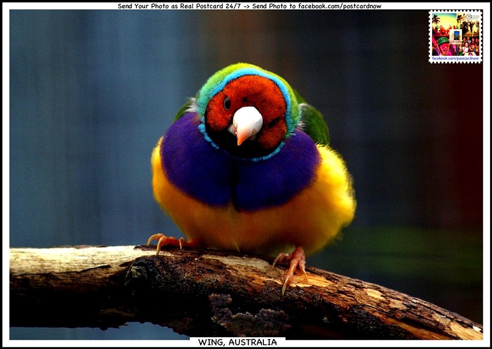 Postcard Now gallery image