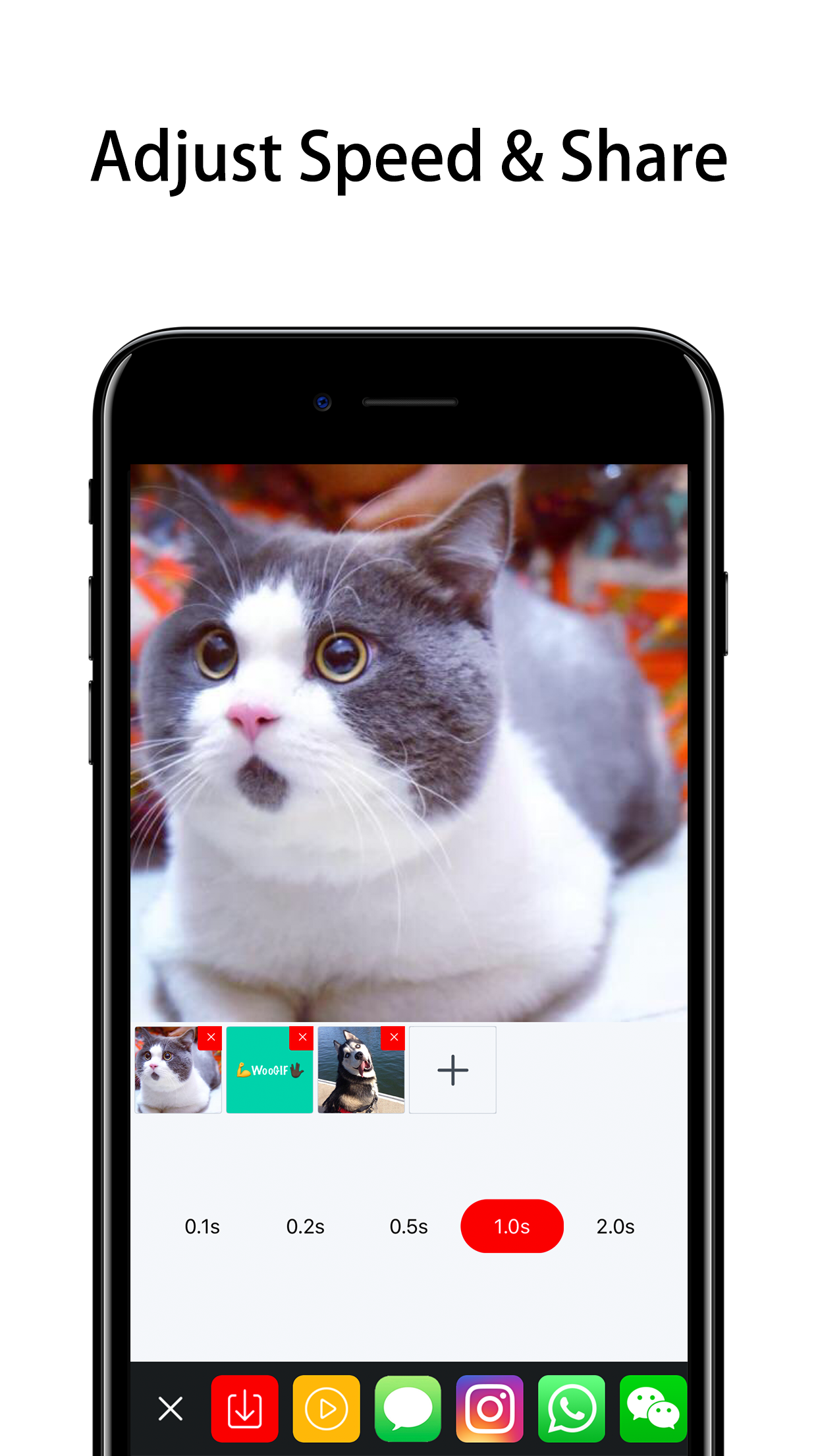 WooGIF-Make GIF & Share gallery image
