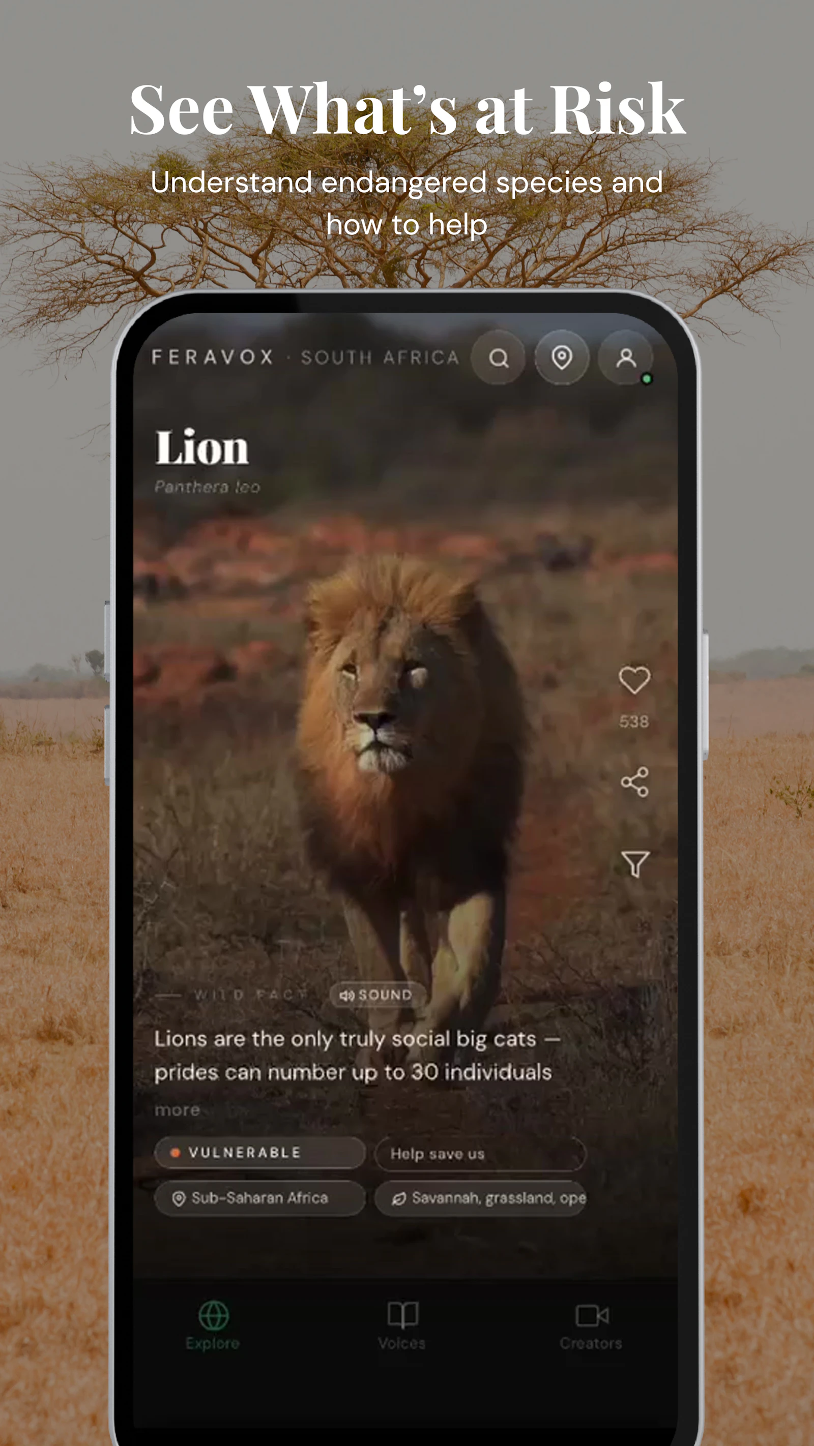 Feravox screenshot 11