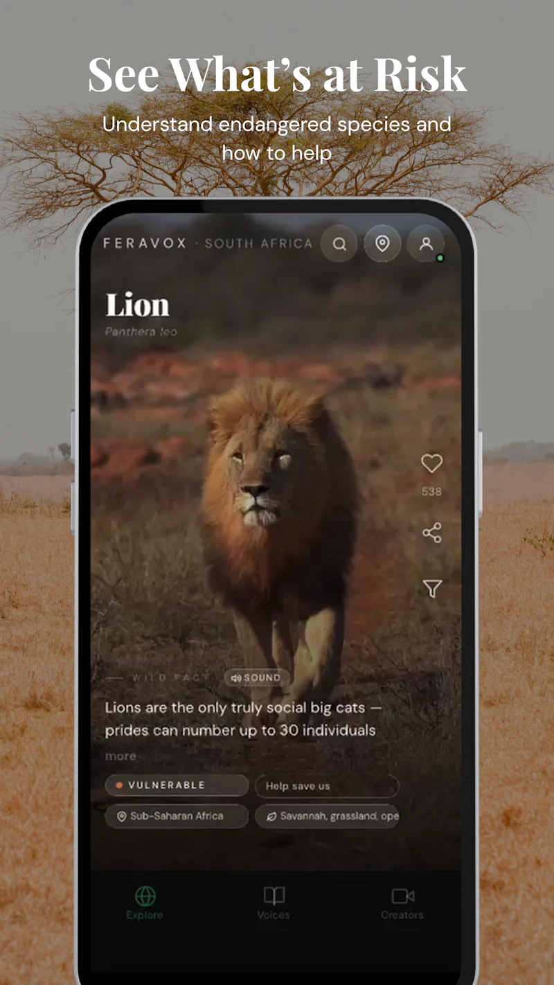 Feravox screenshot 11