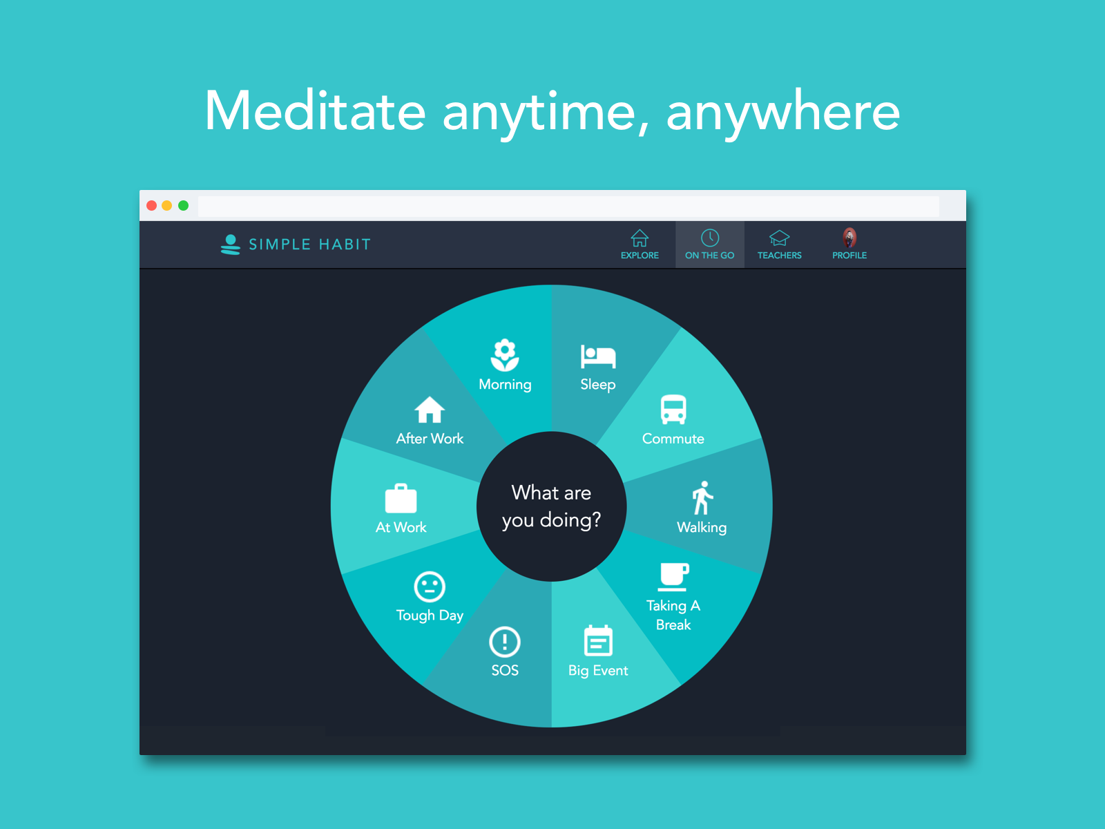 Simple Habit, now for Web gallery image