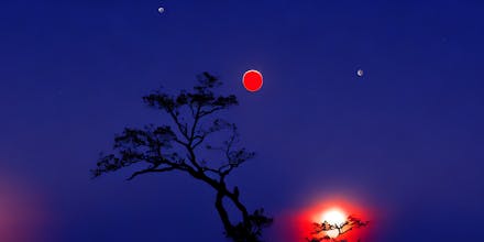 Beautiful 100+ AI generated Images gallery image