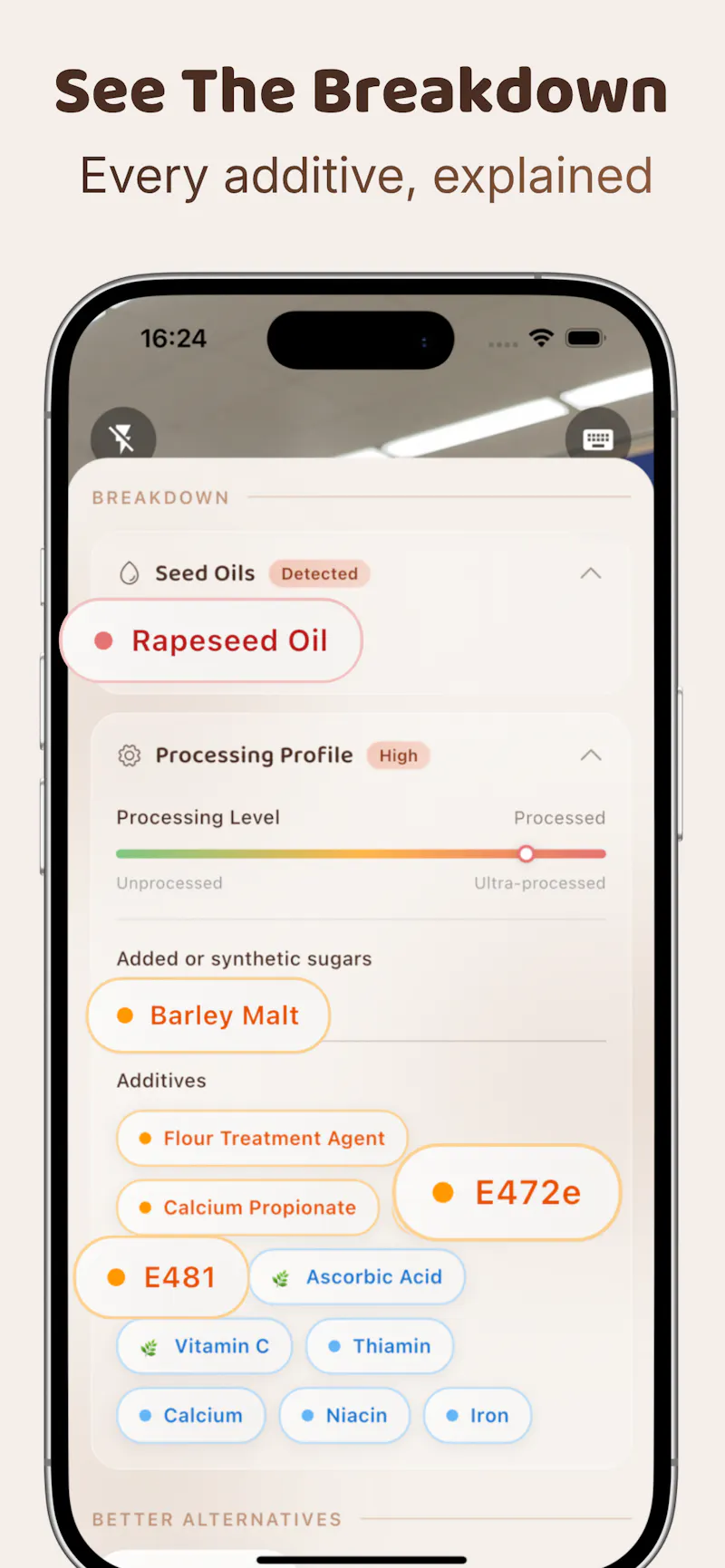 Bear App screenshot 4