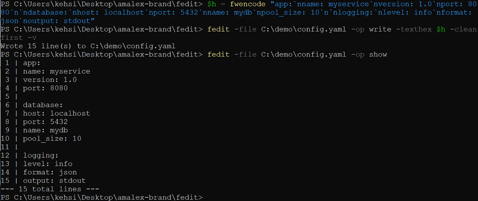 Edit any file, any language, CLI + MCP screenshot 3
