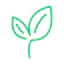 I Am Vegan: Translations 2020