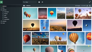 Files App gallery image