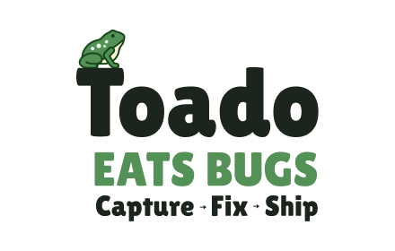 Toado gallery image