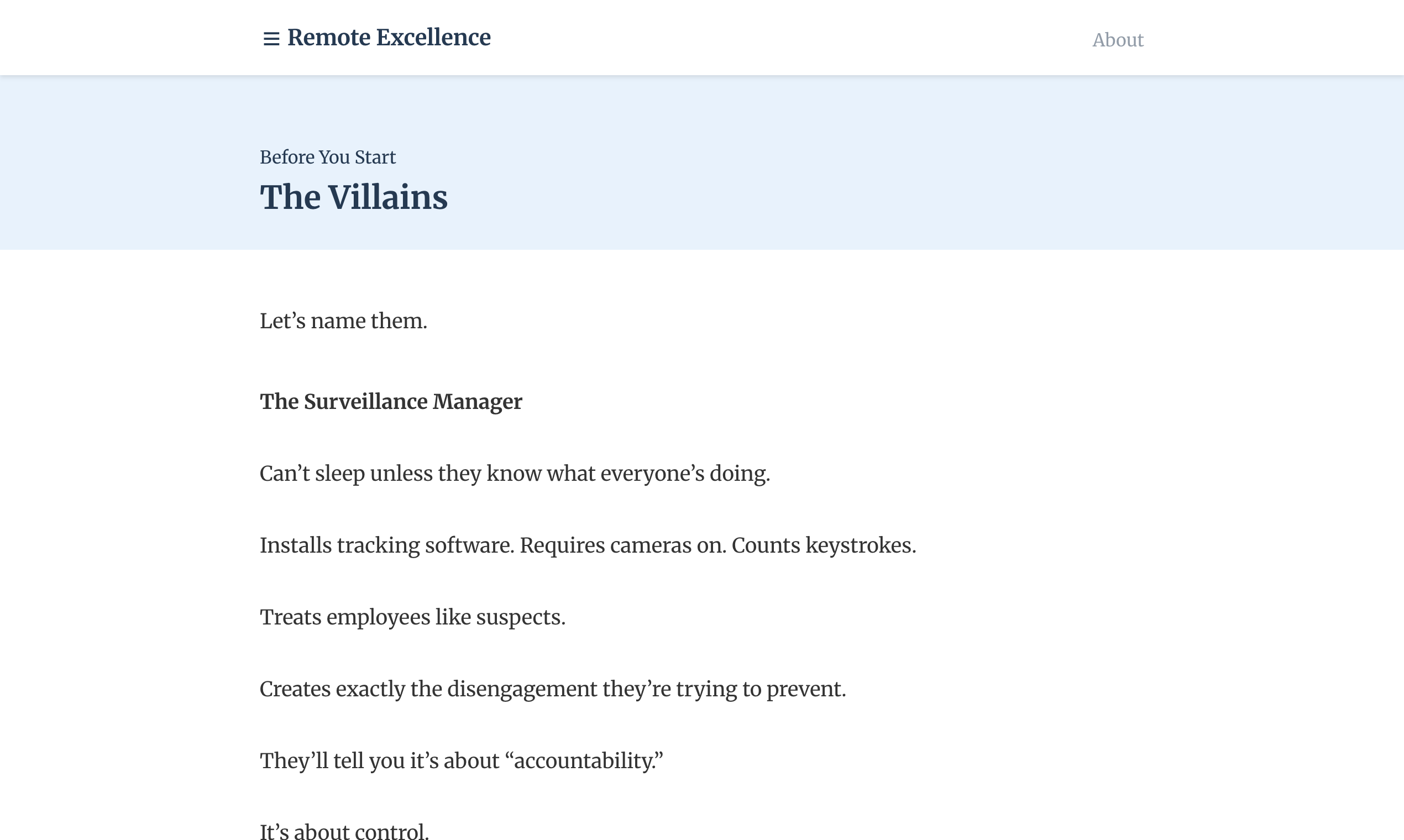 Remote Excellence gallery image