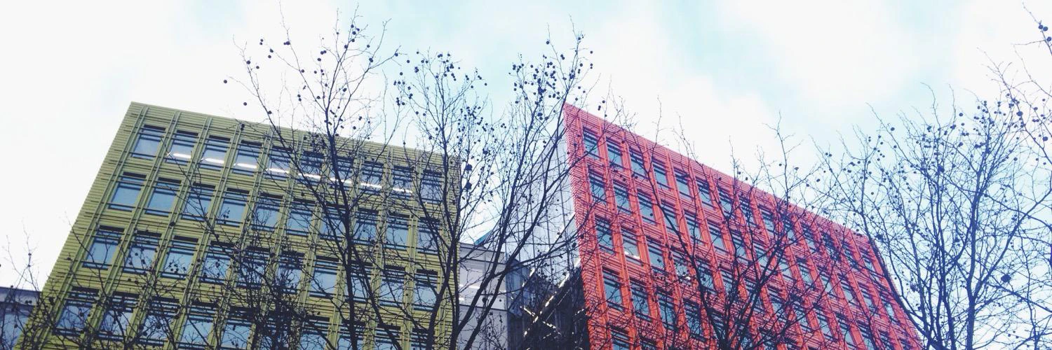 Halyna Divakova cover