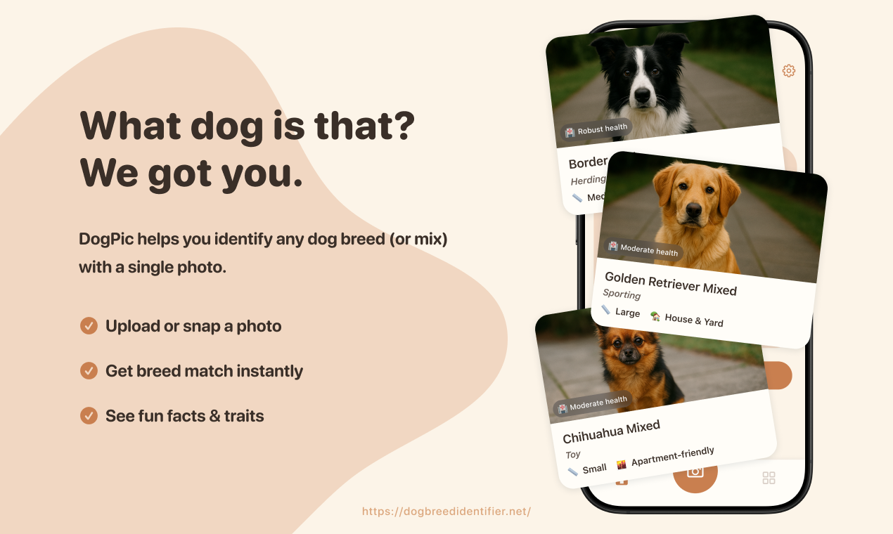 DogPic - Identify any dog breed instantly media 3