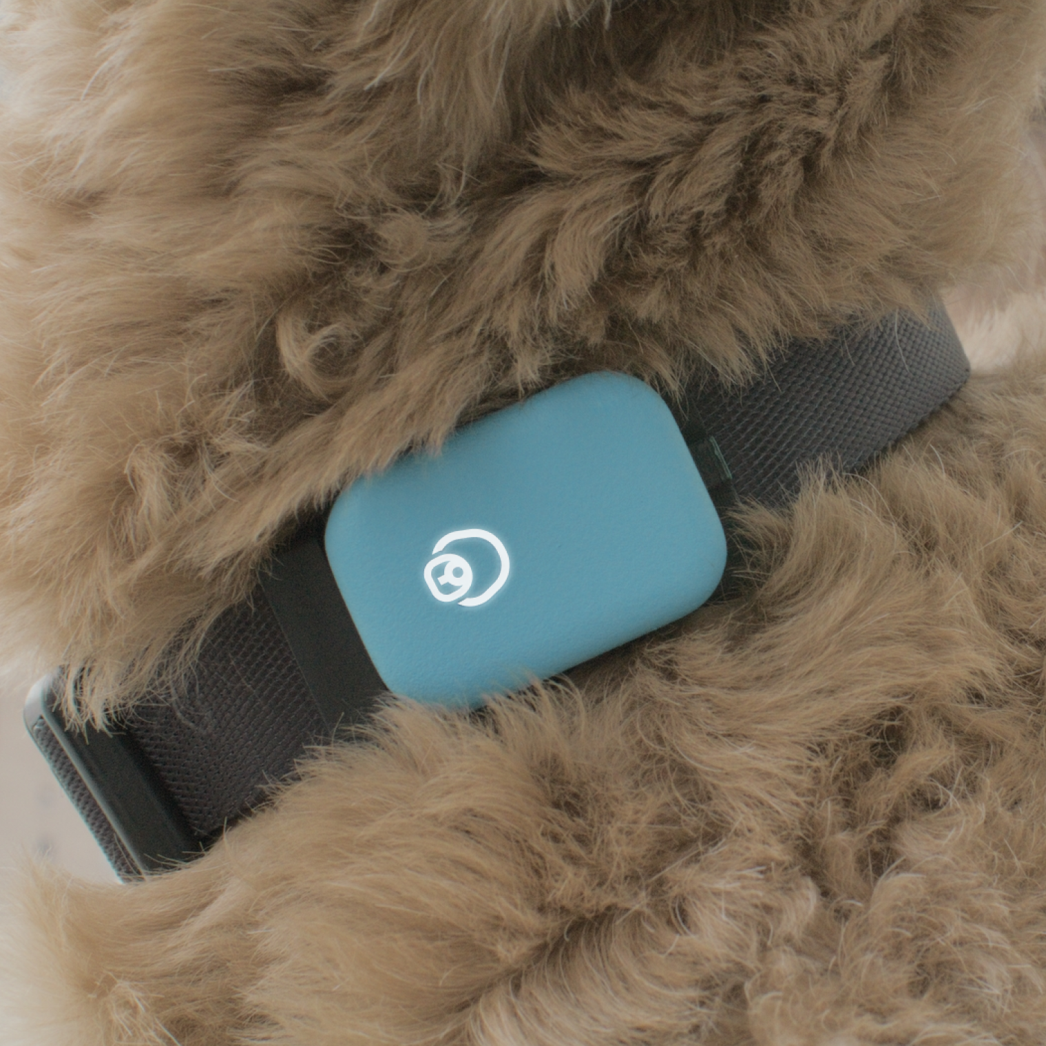 Queva Health Verhalten V1 - Hundegesundheit und Verhalten Smart Tracker Medien 2