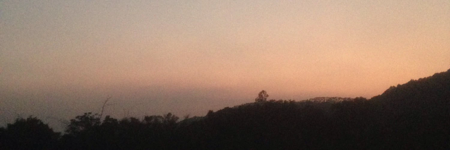 陈贤安 CHEN Xian-an cover