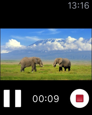 Filmic Pro gallery image