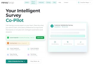 Revuloop gallery image