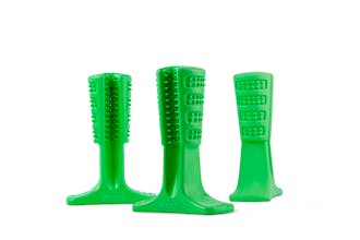 Bristly gallery image