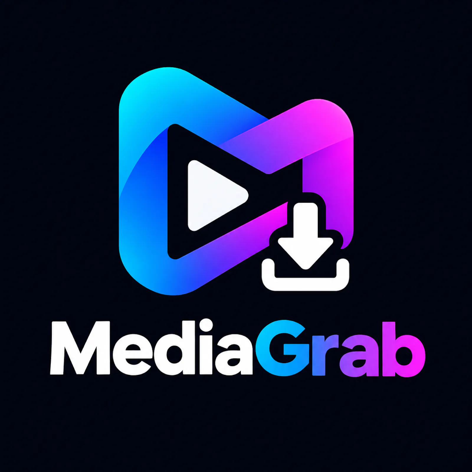 MediaGrab screenshot 1
