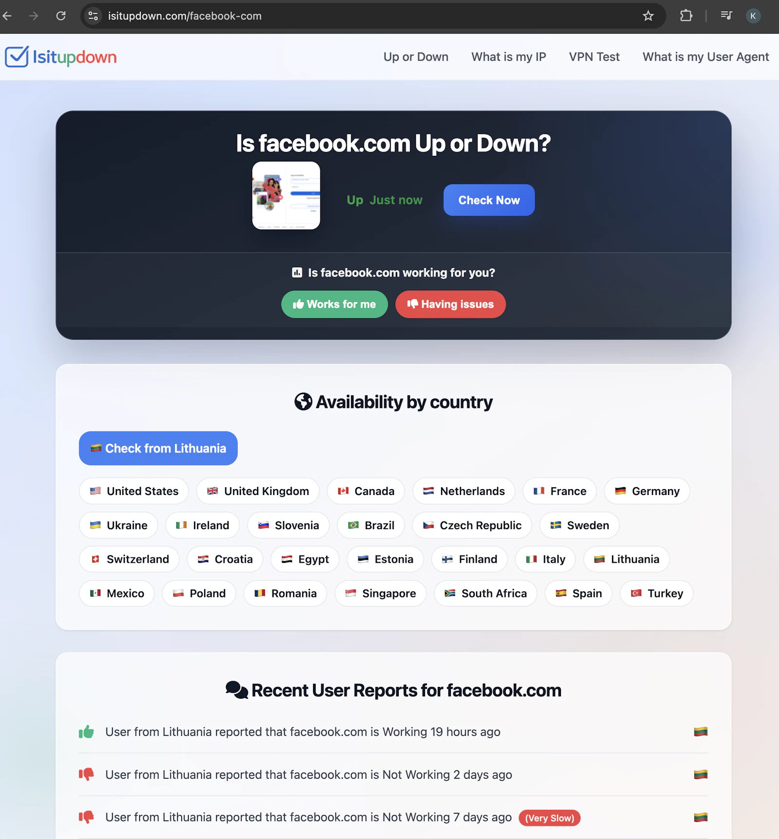 IsItUpDown screenshot 3