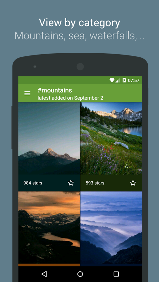 Wonderwall gallery image