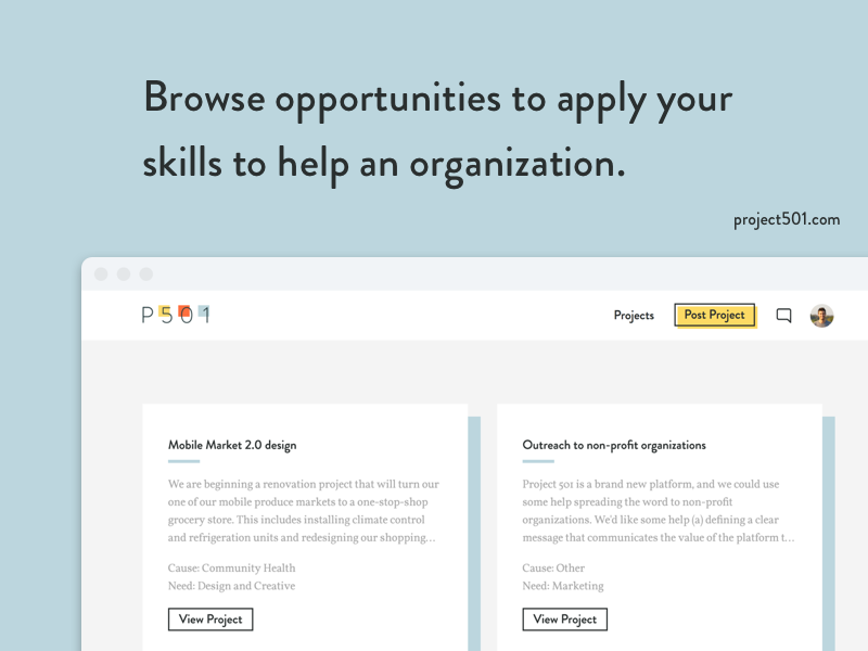 Project 501 gallery image