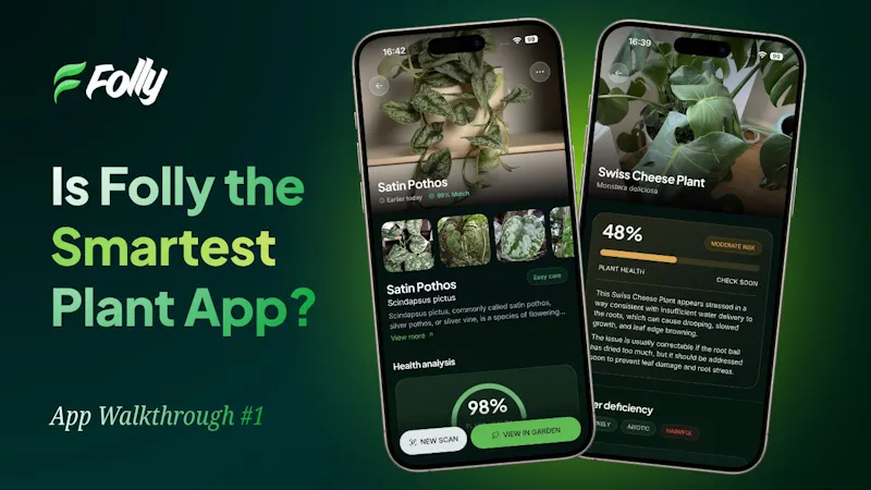 Folly: Plant Identifier & Care screenshot 1 (video preview)