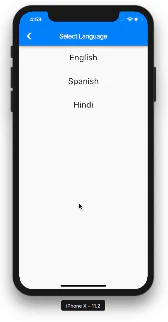 Flutter In-App Localization
