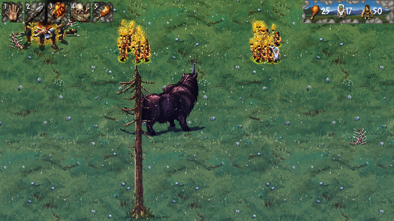 The Tribe gallery image