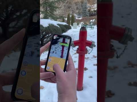 Reality Hunt gallery image