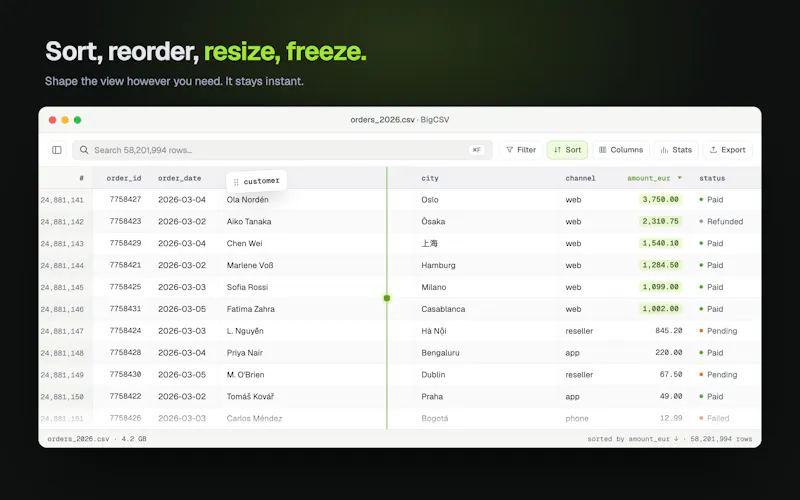 BigCSV screenshot 7