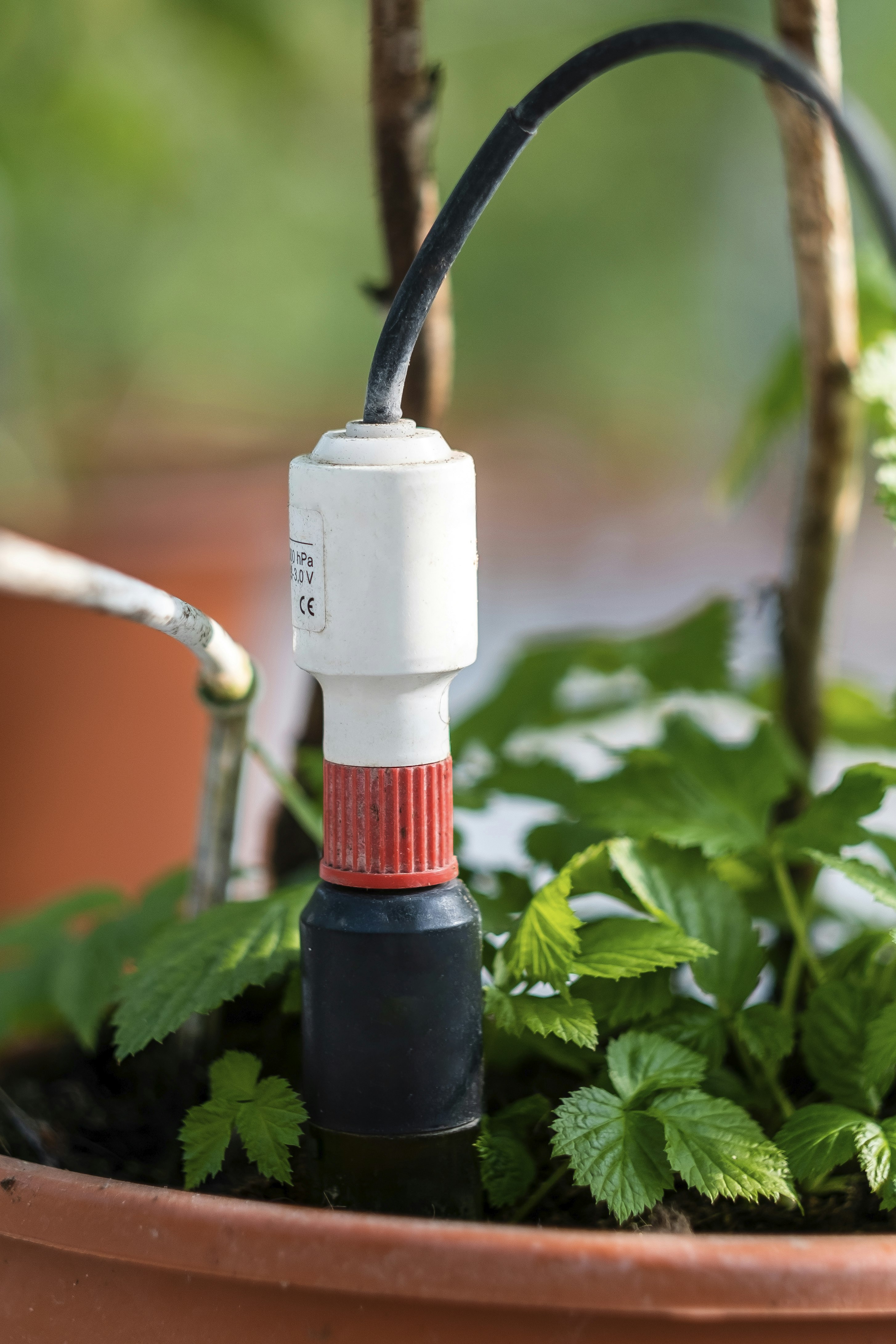 LUALTEK - Ihr virtueller Agronomist ohne Internet und Strom Medien 2
