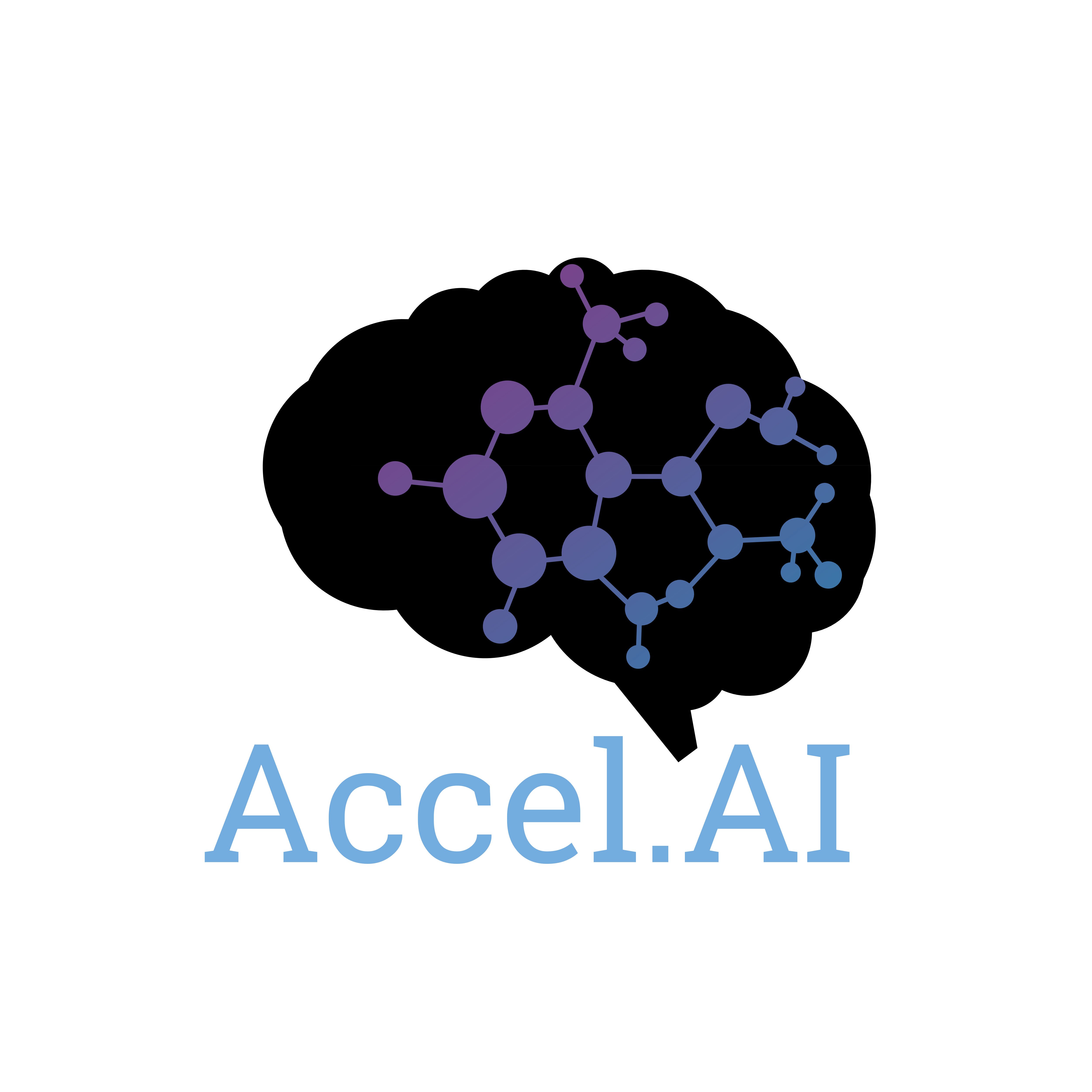 Accel.AI