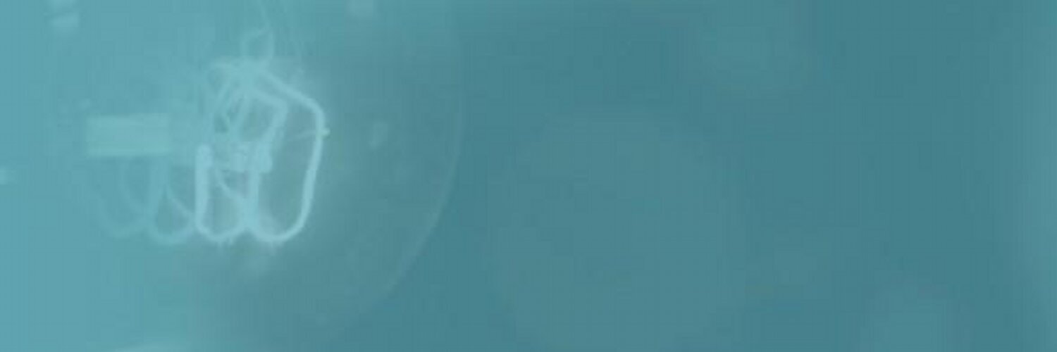 ProductHunt banner for @tr