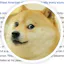 Surprise Doge