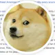 Surprise Doge
