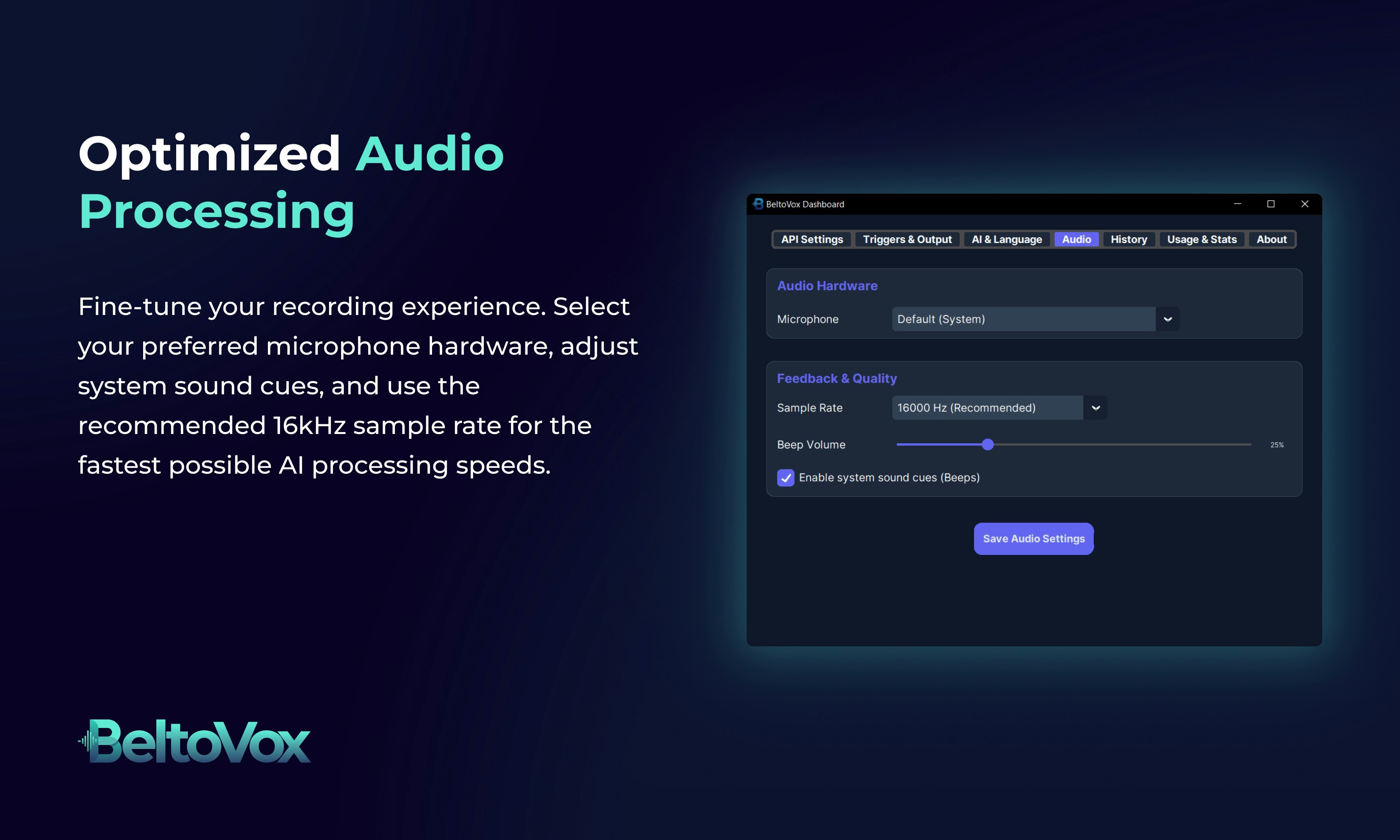 BeltoVox gallery image