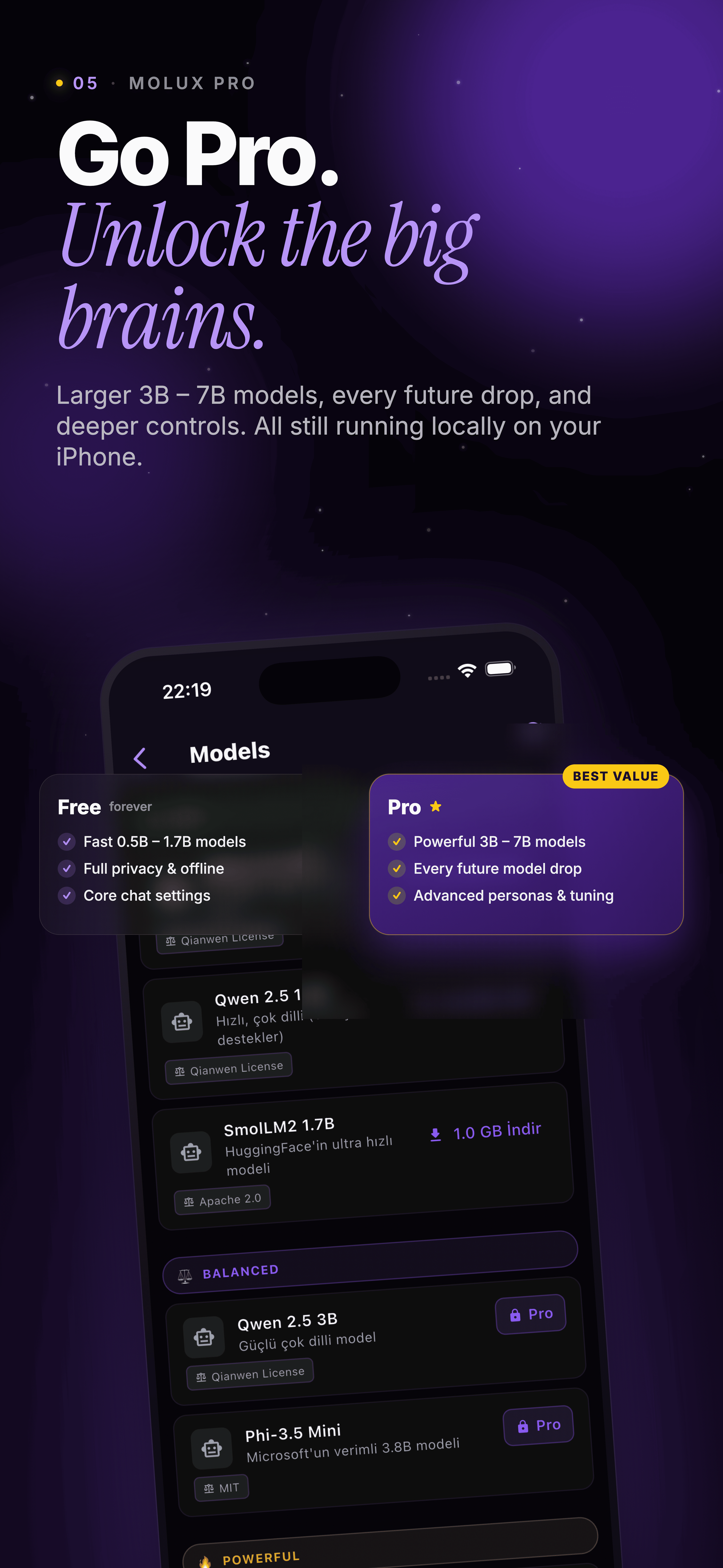 Molux: Local & Private AI Chat gallery image