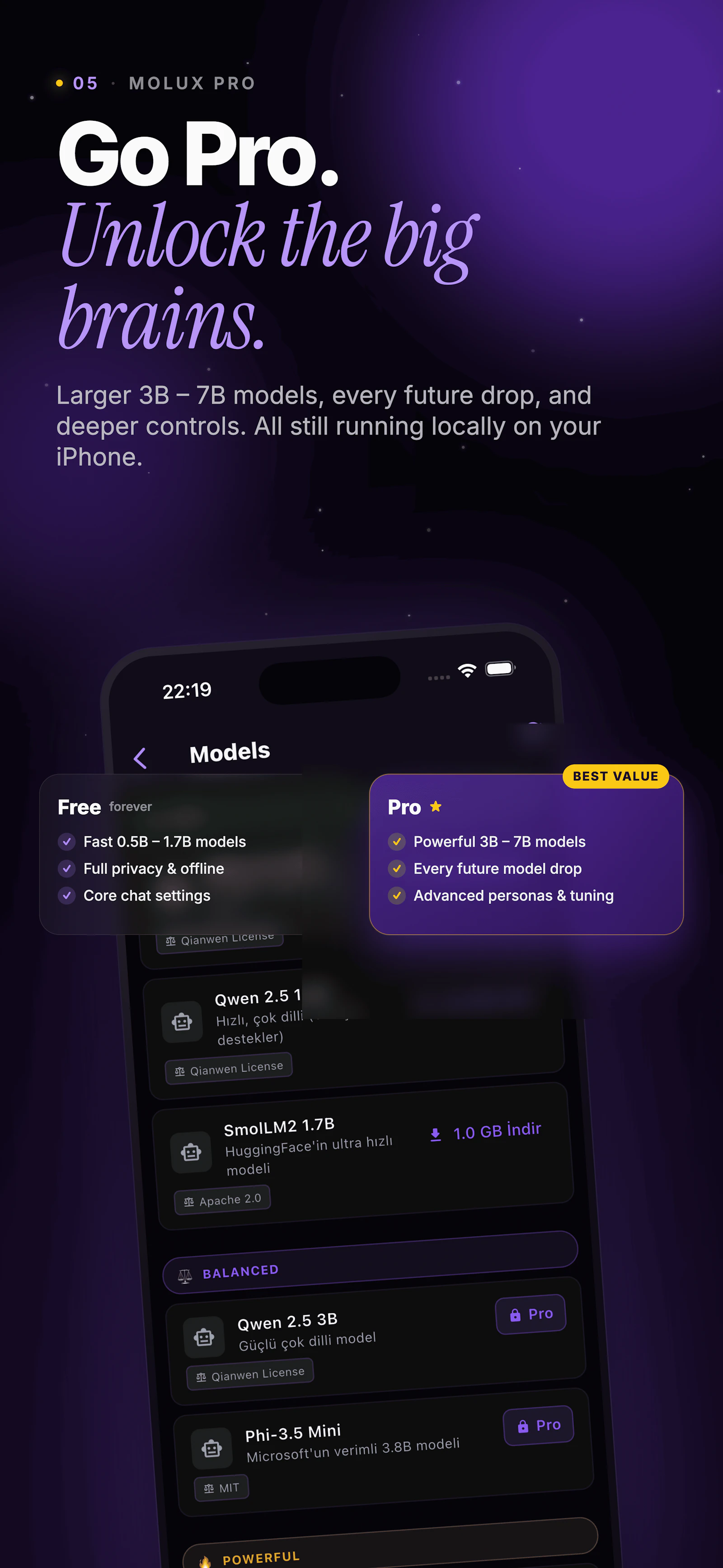 Molux: Local & Private AI Chat screenshot 2