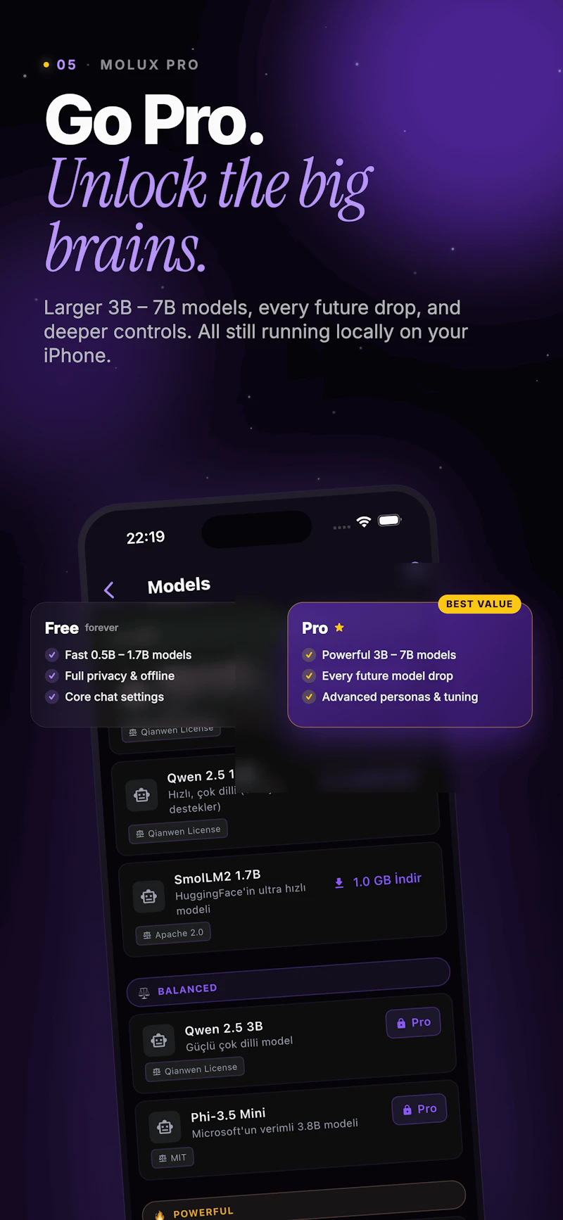 Molux: Local & Private AI Chat screenshot 2