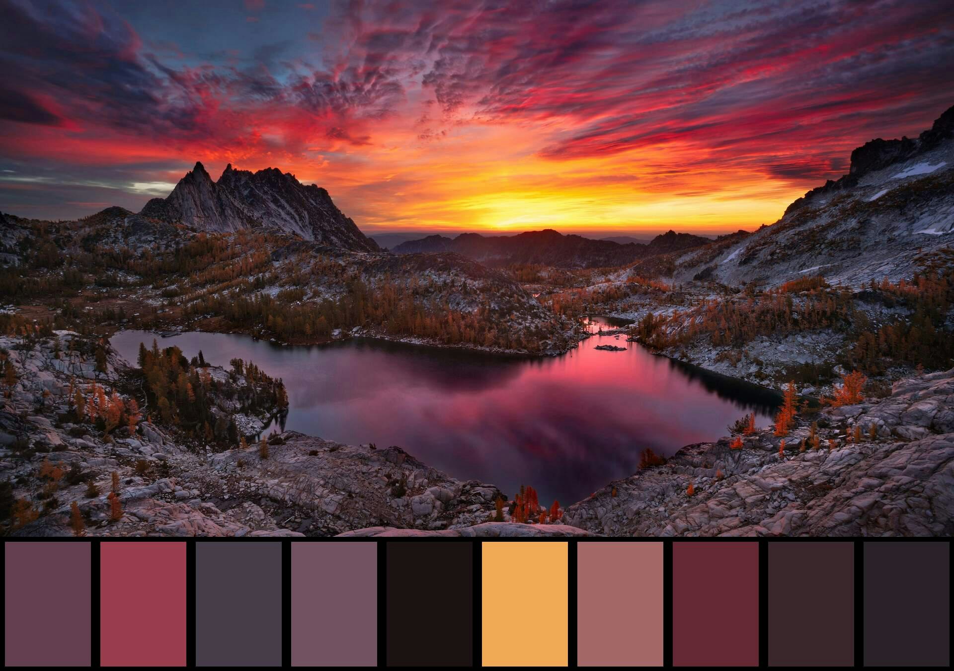 Color-Palette gallery image