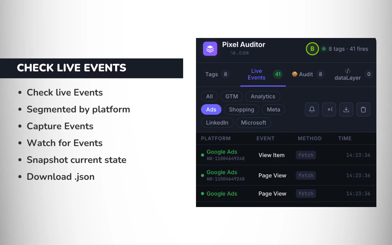 Pixel Auditor screenshot 4