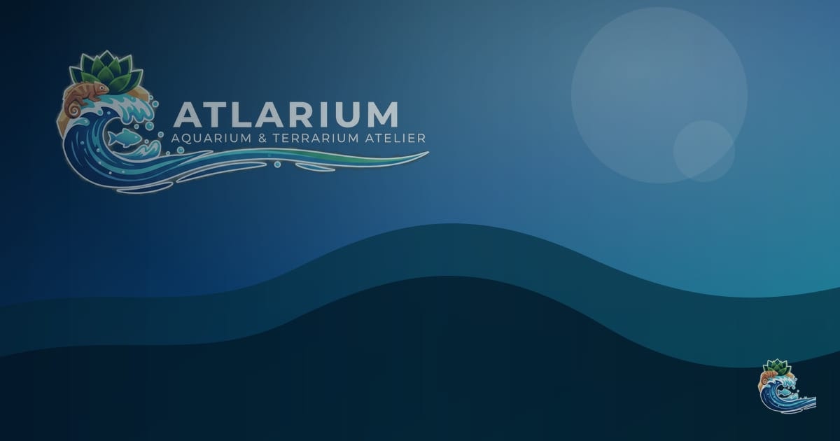 Atlarium gallery image