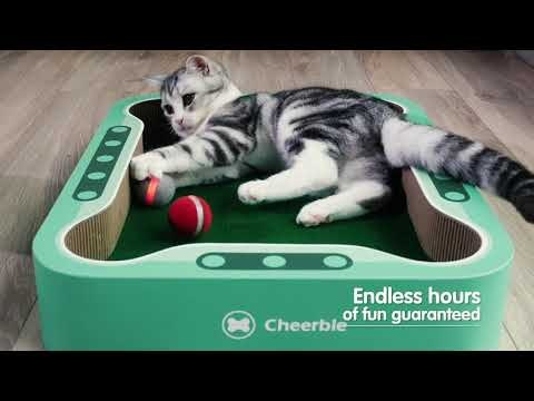 Cheerble Board Game gallery image