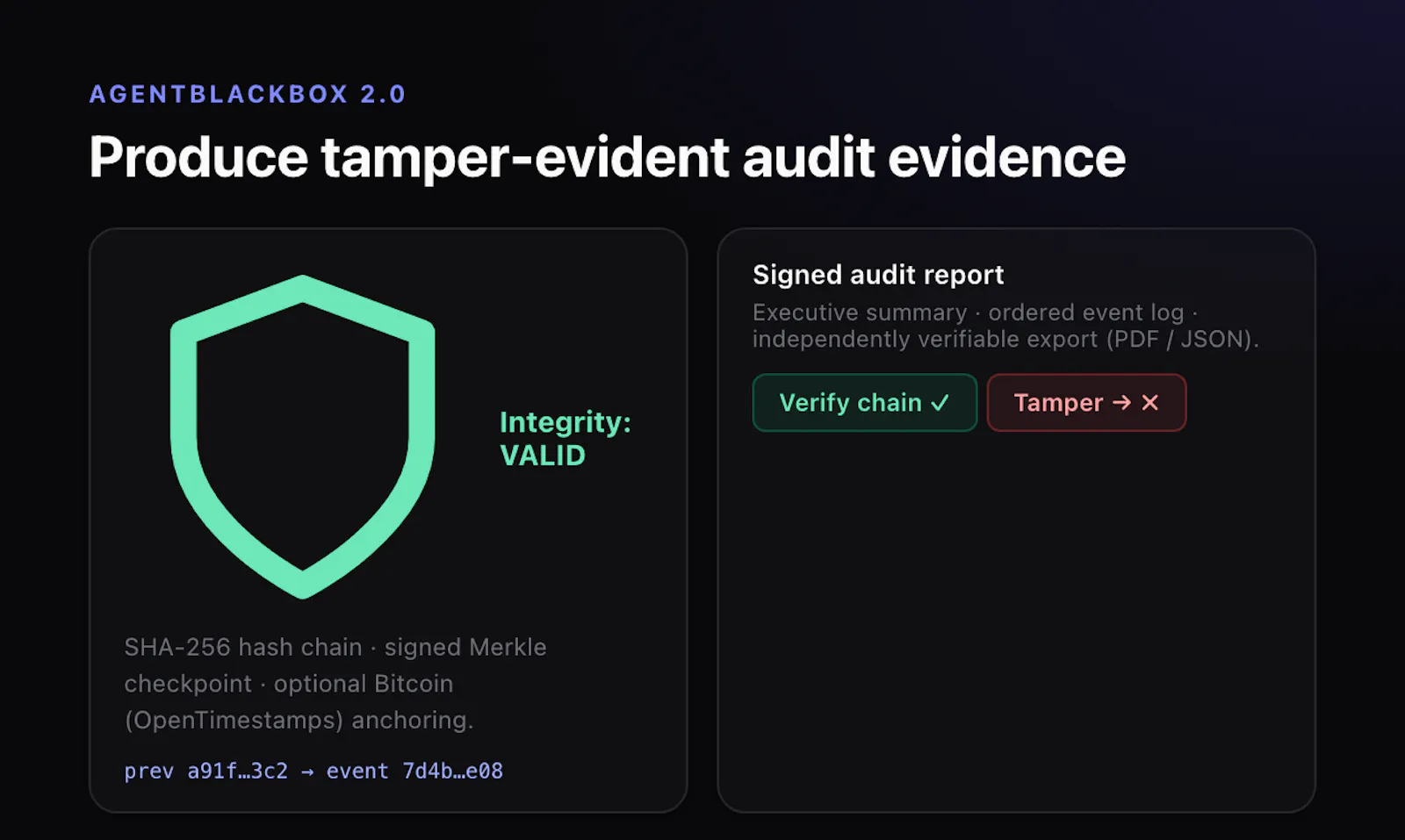 AgentBlackBox screenshot 3
