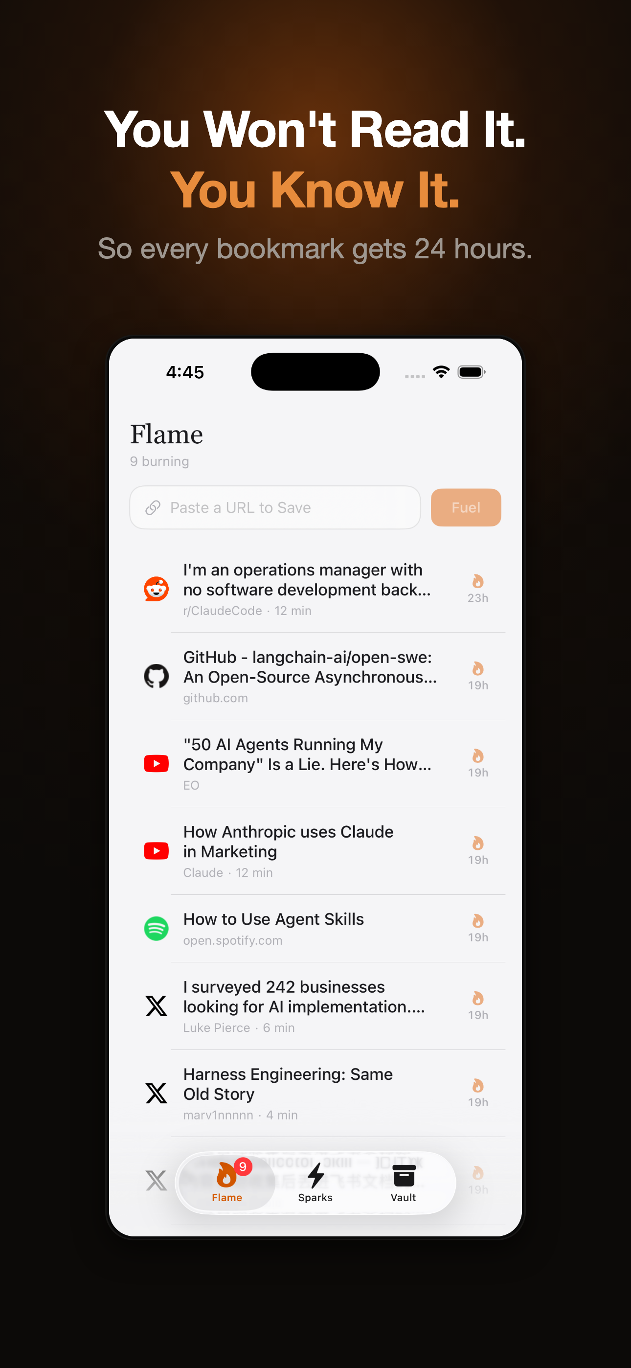 Burn451 gallery image