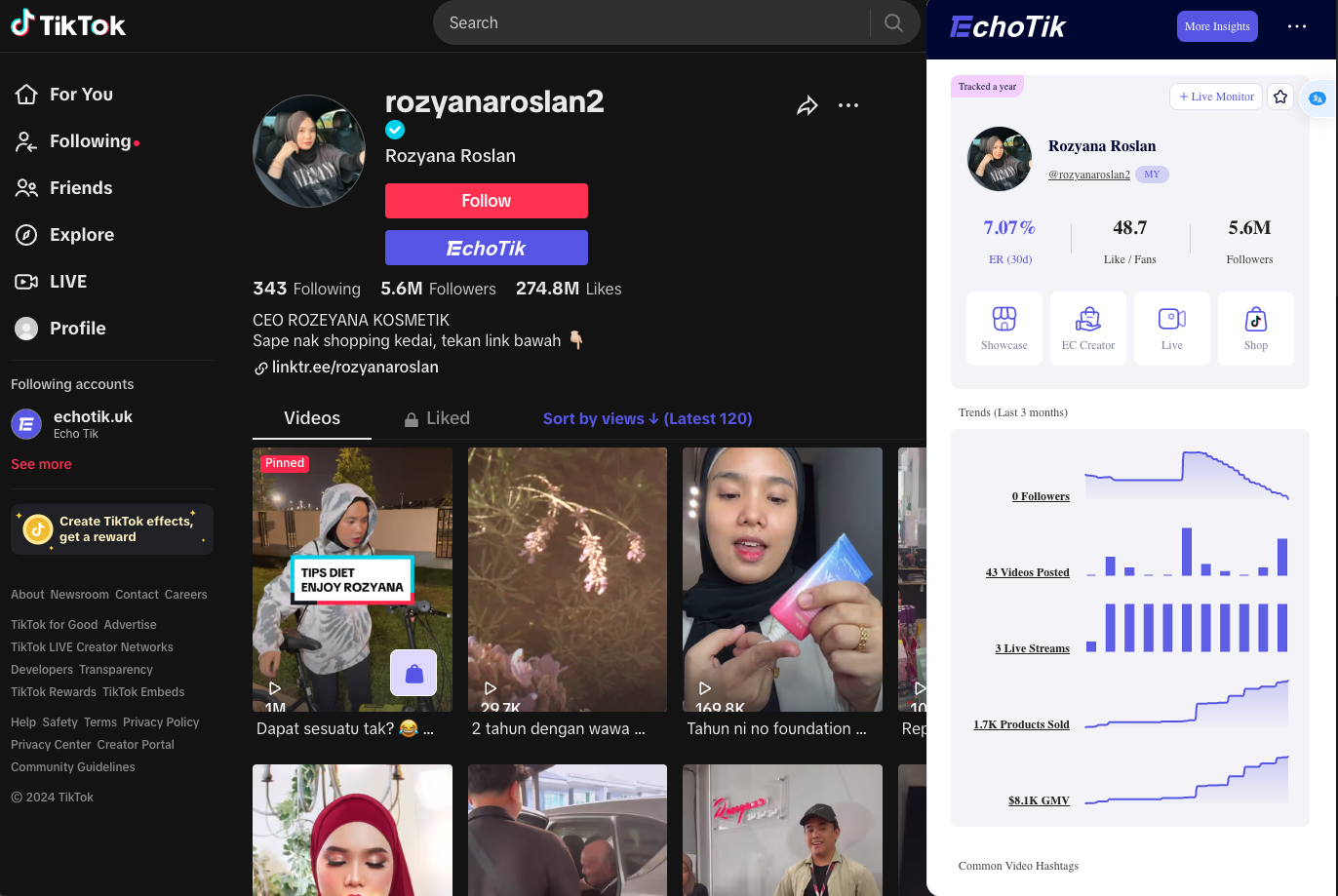 EchoTik media 6