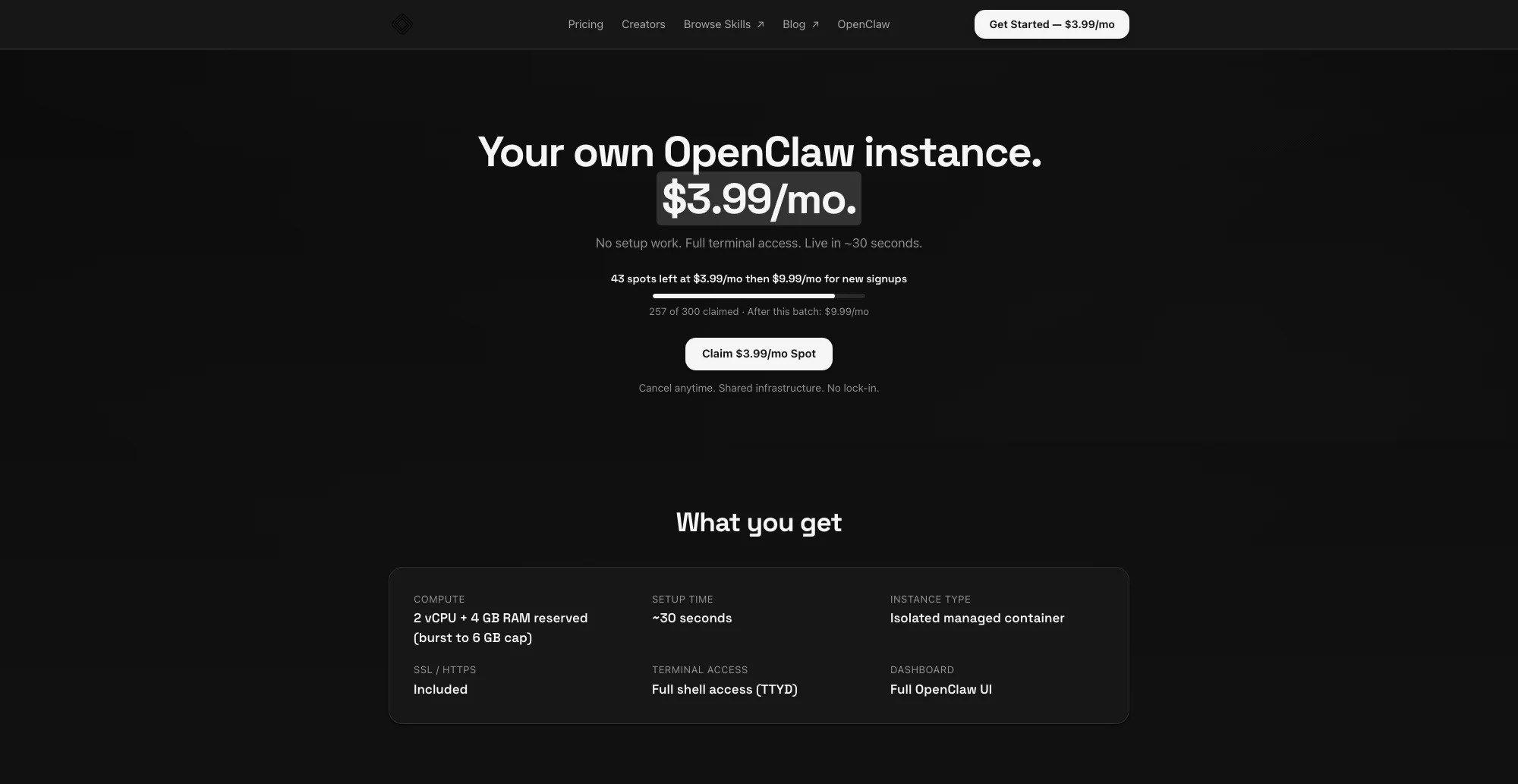 Agent37  gallery image