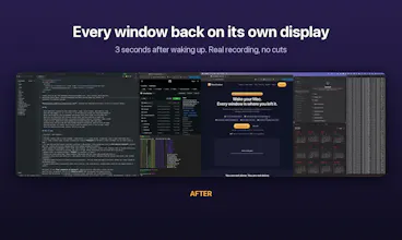 Many Displays gallery image
