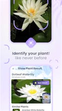 Plantora- Plant Identify, Care gallery image