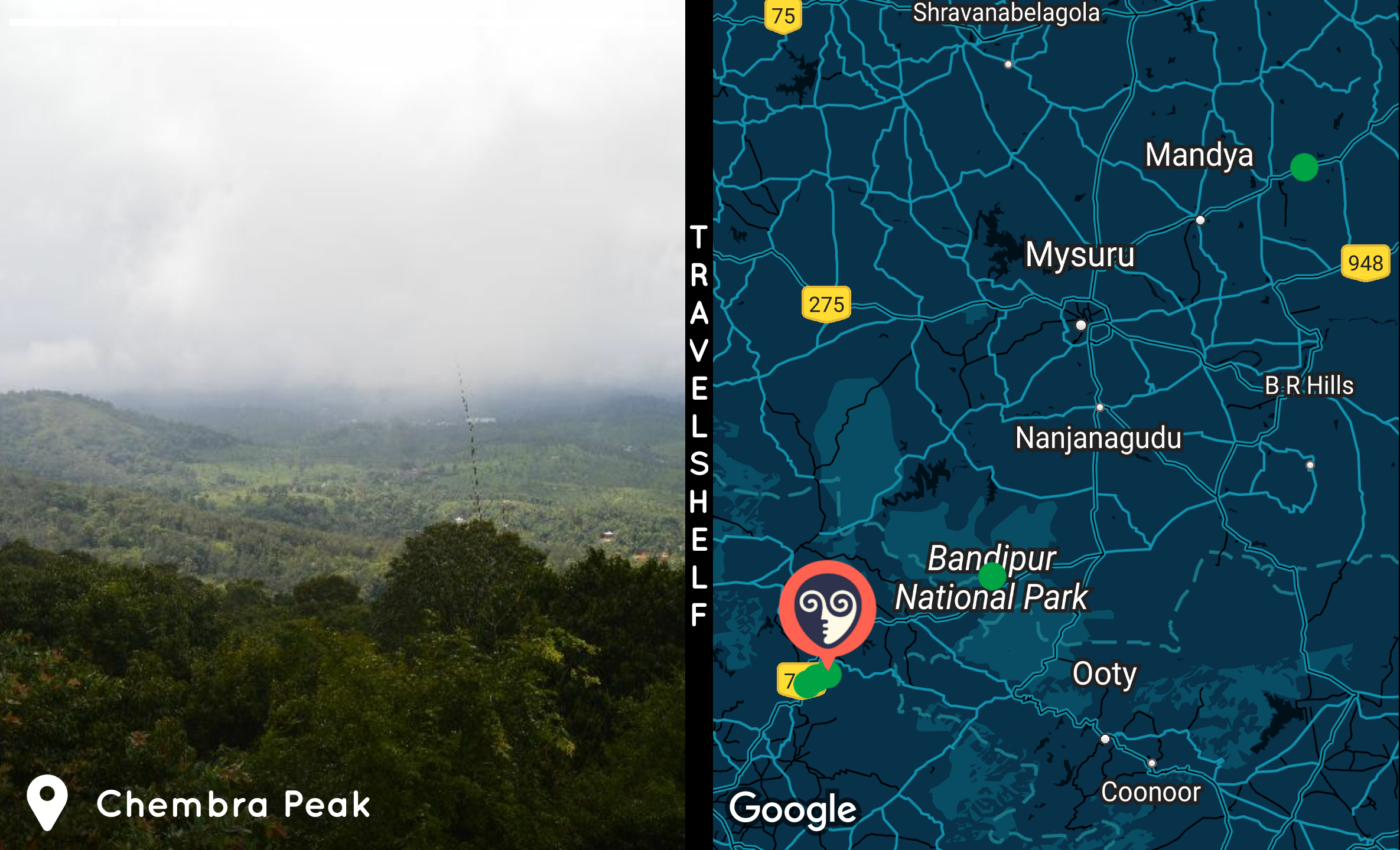 TravelShelf gallery image