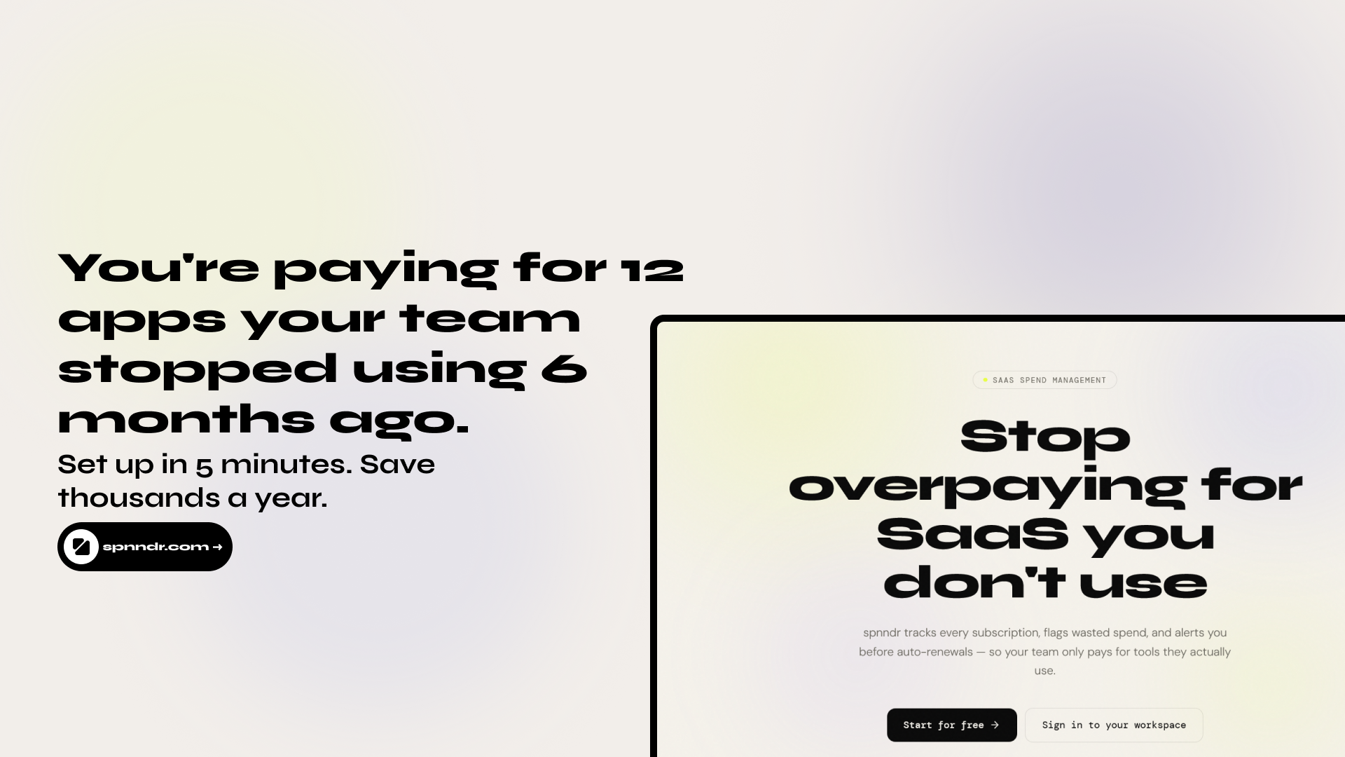 spnndr gallery image